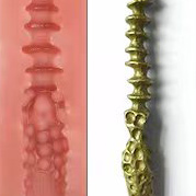 15.5 cm