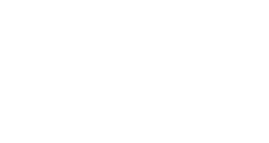 official seller dollangel 1